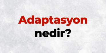 Adaptasyon-nedir