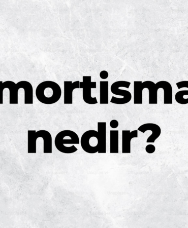 Amortisman nedir, TDK sözlük anlamı ne demek? Amortisman nasıl hesaplanır? 10 Amortisman-nedir