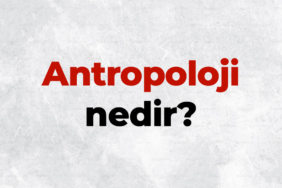 Antropoloji-nedir