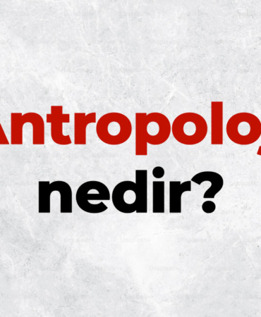 Antropoloji nedir, TDK sözlük anlamı ne demek? Antropoloji bilimi neyi inceler? 5 Antropoloji-nedir