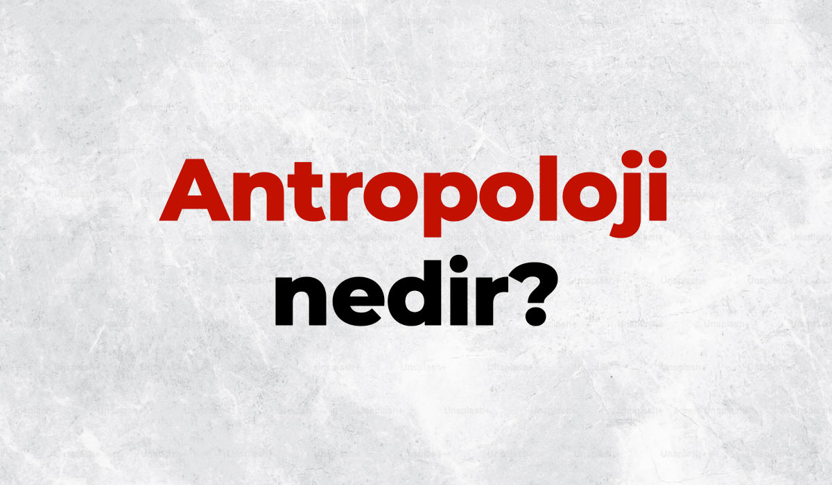 Antropoloji-nedir
