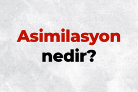 Asimilasyon