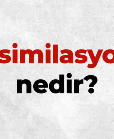Asimilasyon nedir, TDK sözlük anlamı ne demek? Asimilasyon nasıl gerçekleşir? 3 Asimilasyon