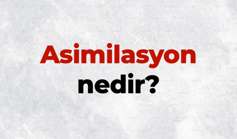 Asimilasyon nedir, TDK sözlük anlamı ne demek? Asimilasyon nasıl gerçekleşir?