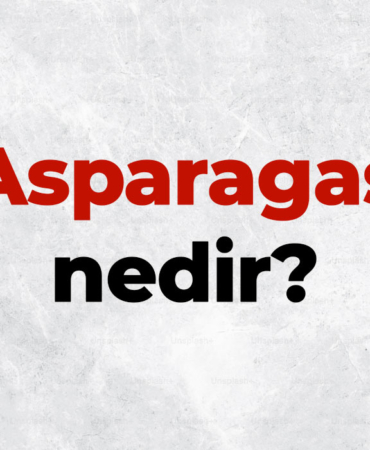 Asparagas nedir, TDK sözlük anlamı ne demek? Asparagas haber nasıl anlaşılır? 5 Asparagas