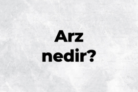 arz-nedir