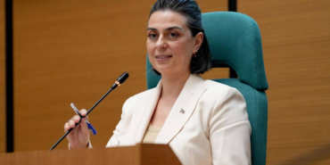 sinem-dedetas