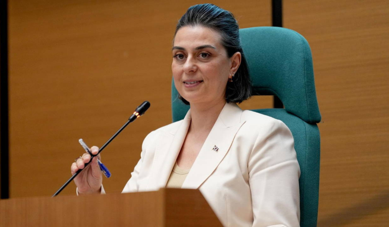 sinem-dedetas